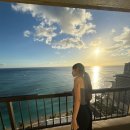 정인농장 | 다섯여자들의 하와이일기