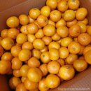 210101 | [210101-210110] 새해의 시작