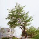 앳모스피어 이미지