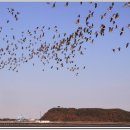 대호낚시터 이미지