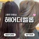 디벨롭헤어 | 2동탄 미용실| 레이어드컷 염색 헤어디벨롭 방문 후기(가격, 애견동반)