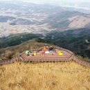 40분 최단 코스 충남 오서산 억새 백패킹 후기 및 정보