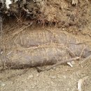 현대건재 이미지