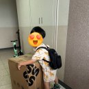 아이진 | 시크 맥스아이진2 사용 후기🙂 편안하고 안전한 주니어 카시트