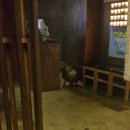 닌자고쿠시 이미지