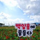8월20일(토) 제천 얼음골~BTS 뮤비 촬영지_모산비행장 이미지