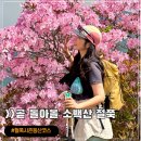 죽령휴게소 | 철쭉 핀 소백산 길게 등산하기 죽령~어의곡 약 17KM 세미종주