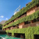 옐로우헤어클럽 | 발리 꾸따 호텔 가족 가성비 숙소 추천, 알로프트 발리 쿠타 앳 비치워크 더블룸 조식 수영장