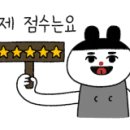 에스와이오토글래스 이미지