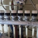 덕진-132 이미지