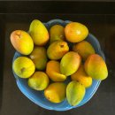 꼬마장사꾼 이미지