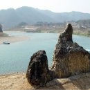 청령포초등학교 이미지