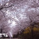 이디야도시숲점