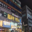 올데이독 이미지