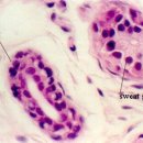 과학이야기2 이미지