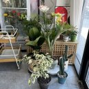 김해중앙여자중학교 | 김해 부케 부원동 꽃집 추천 웨딩 스튜디오 스냅 촬영 용품 플로릭스튜디오