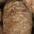 Big Dog(빅독) 이미지