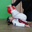 용인대 효 태권도 이미지