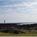 표선가시리민박 이미지