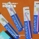 로드 소프트(ROD SOFT) | 큐라덴 큐라프록스 강아지 칫솔 추천 종로 매장 방문 내돈내산 후기