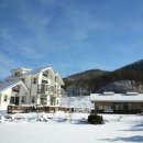 곰배령올레 이미지