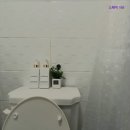 스테이105
