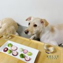 고르다 수제간식 이미지