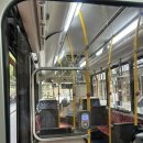 기린약국 | 타롱가주 버스타고 방문후기(마이리얼트립 입장권, 코알라, 물개쇼),시드니 스테이크 맛집 찹하우스...