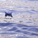 신기회관 이미지