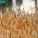 화정식품 이미지