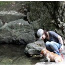 양주글램핑코리아애견캠핑장 이미지