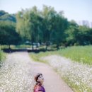 언제나 그 자리에 ...작사 신효범,작곡 홍성규, 노래 신효범 이미지