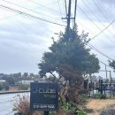 더큐브펜션 | 제주도 바베큐 가능한 서귀포애견동반펜션 🐶 제이큐브펜션 체험 후기