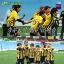 개벤져스 이미지