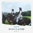 똑똑이마켓 | 제주 목장카페 밭디｜제주 승마체험과 말 먹이주기 후기