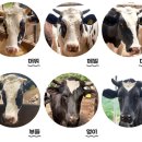 달뜨는목장 이미지