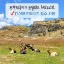 산정농장 | 뉴질랜드 퀸스타운 농장 디어파크하이츠 예약 오후 먹이 소요시간 꿀팁 총정리