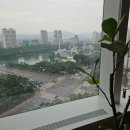 스마일약국 | 스마일라식 당일 후기 내돈내산 (토요일 수술 후 월요일 출근)