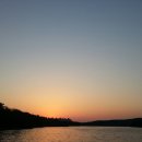 진미면 막국수 이미지