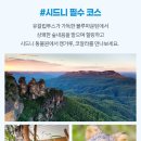 동부항공여행사 이미지