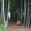 죽림원 이미지