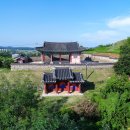 보령청과 이미지