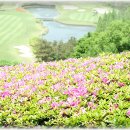 파인크리크C.C 이미지