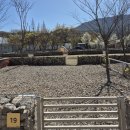 앞들동2로 이팝나무길 | [경북 청도] 개별 울타리, 넓은 운동장이 있는 애견캠핑장 벨캠핑장 이팝나무 7번에서 봄캠핑을