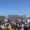 꽃이 피고 비가 내리면 | 여의도 벚꽃축제 | 푸드코트 위치, 메뉴-영등포농협