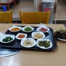 정들집 이미지
