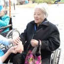 봄나들이 이미지