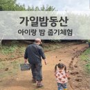 [대나무] 소풍바구니 만들기 | 아이랑 서울 근교 가일밤동산 밤 줍기 체험 준비물 가족이 함께한 가을 소풍