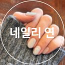 네일리 연