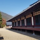 청골짝나라학교 방문 후기: 근사한 경험과 인상깊은 추억